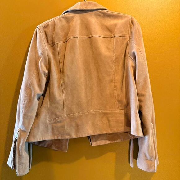AllSaints Tan Suede Dalby Biker Jacket - Picture 6 of 6